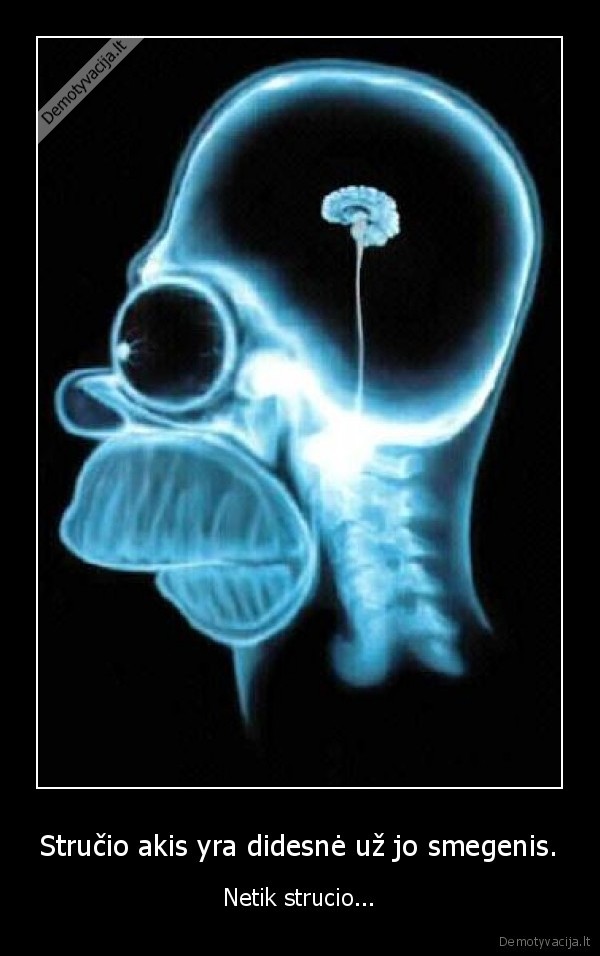 forsas, marozas, blondine