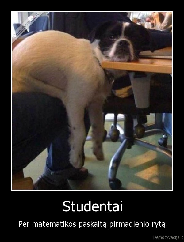 universitetas,studentas,suo