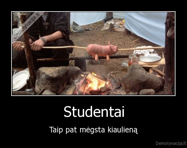 Studentai