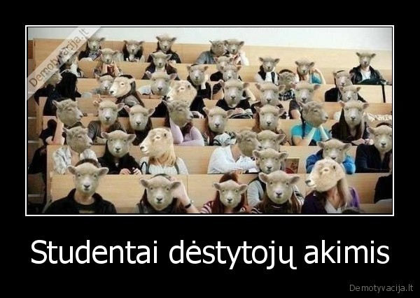 Studentai dėstytojų akimis