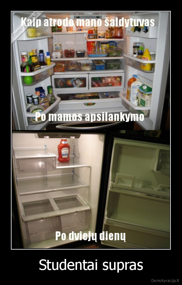 tuscias, saldytuvas,studentai,alkis,tevai,mama