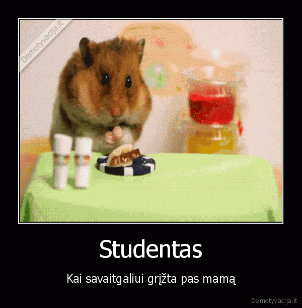 studentas, alkanas,juokingas, ziurkenas