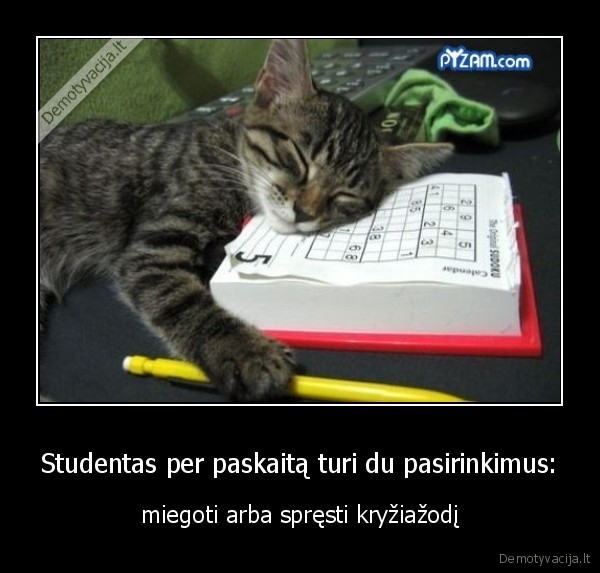 studentu,pasirinkimas,per,paskaita