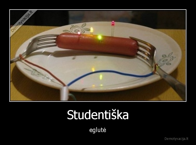eglute,studentai,fizika