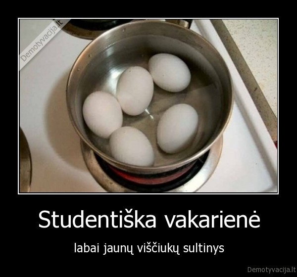 virti, kiausiniai,studentu, gyvenimas,studentavimas