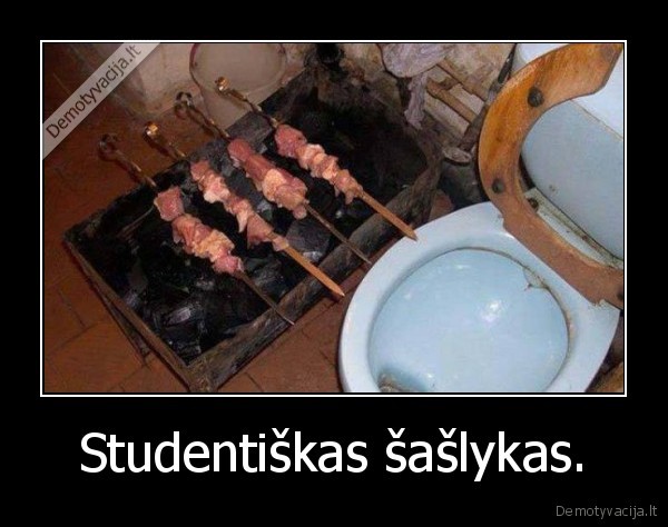 saslykas,studentiskas,studentas,gyvenimas,buitis,pigu