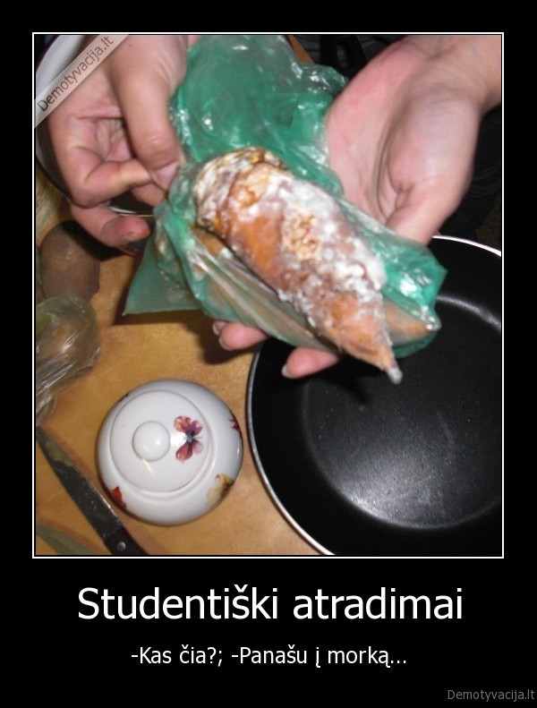 morka,studentai