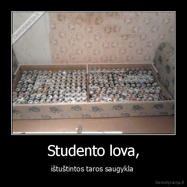 alus,lova,studentas