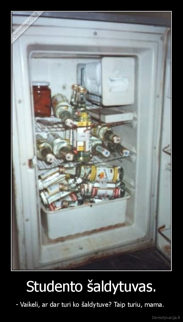 Studento šaldytuvas.