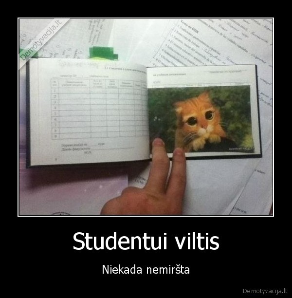 studentai,viltis
