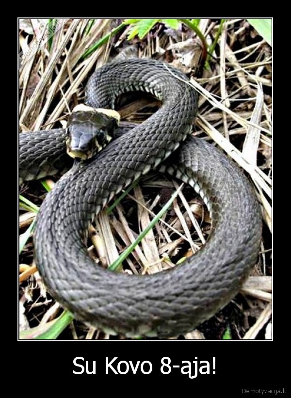 Su Kovo 8-ąja!