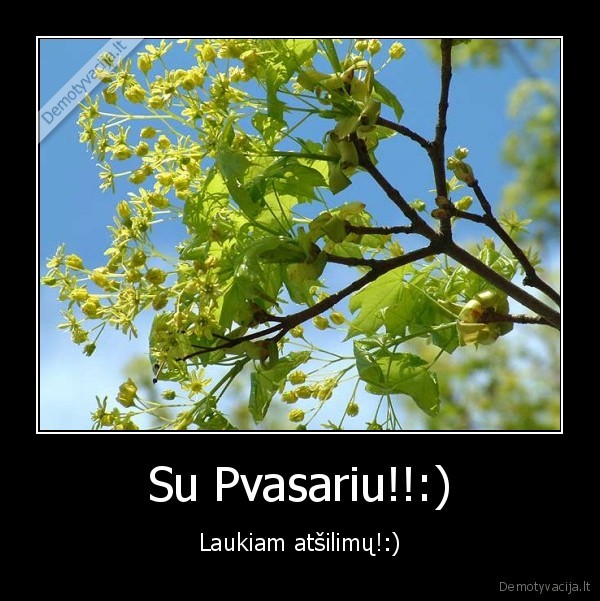 Su Pvasariu!!:)