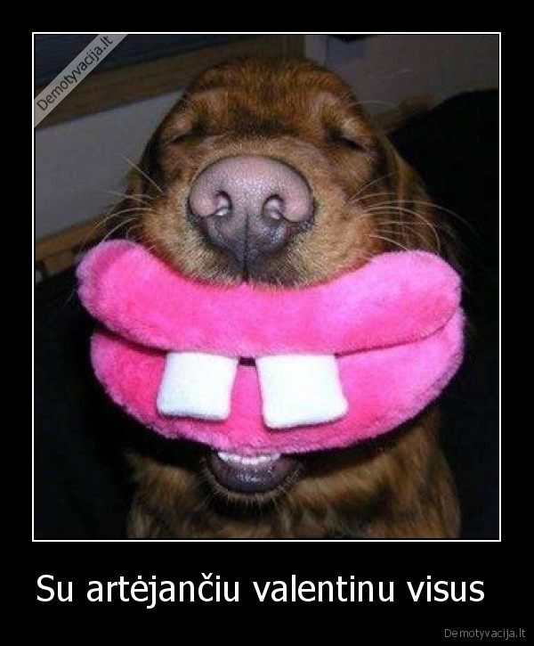 Su artėjančiu valentinu visus 