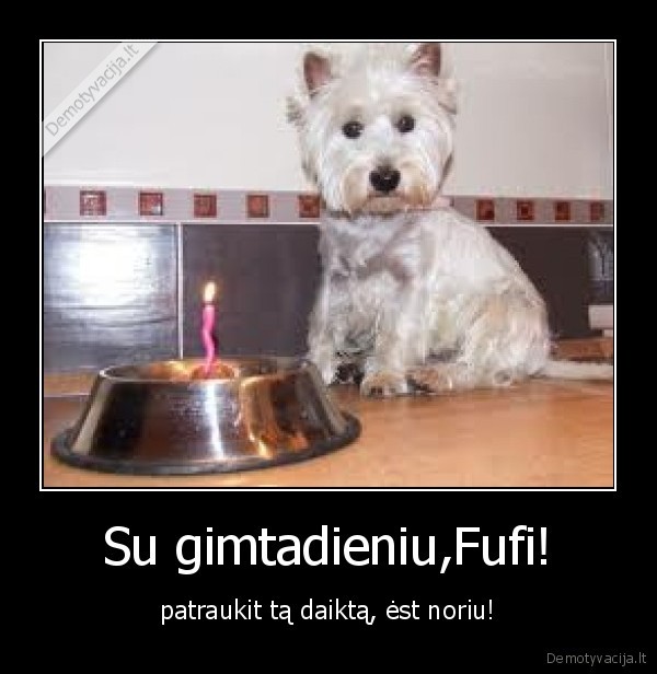 Su gimtadieniu,Fufi!