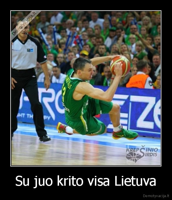 saras,krito,praleimejimas,kubilius,kaltas