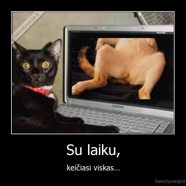 Su laiku,