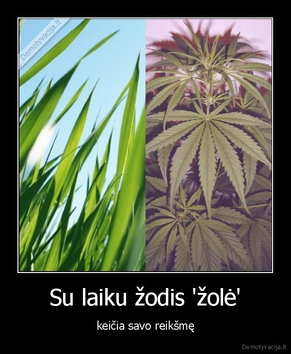 zole, weed