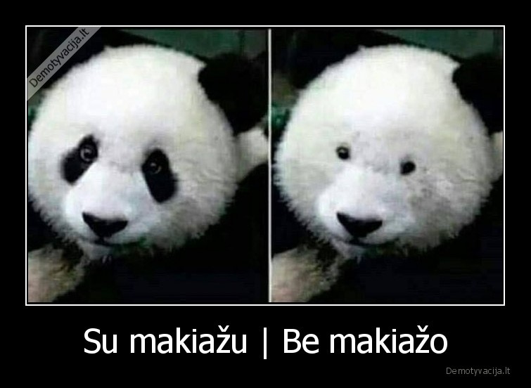 makiazas,panda,grozis,isvaizda
