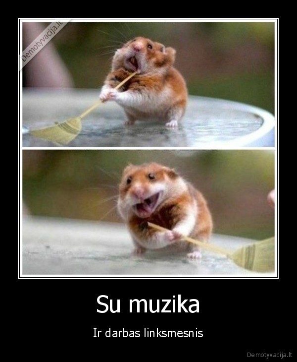 muzika,linksmas, darbas,namu, tvarkymas
