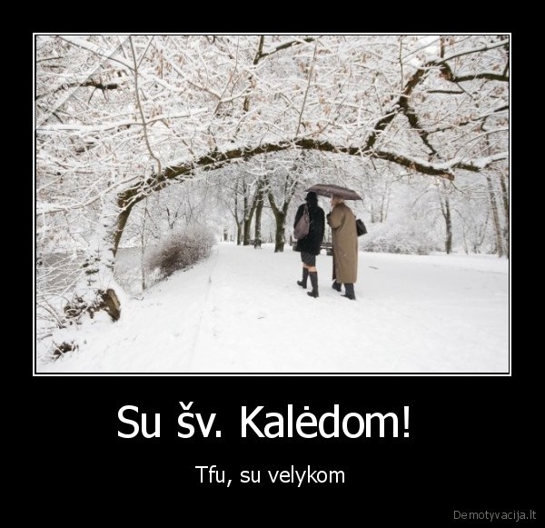 Su šv. Kalėdom! 