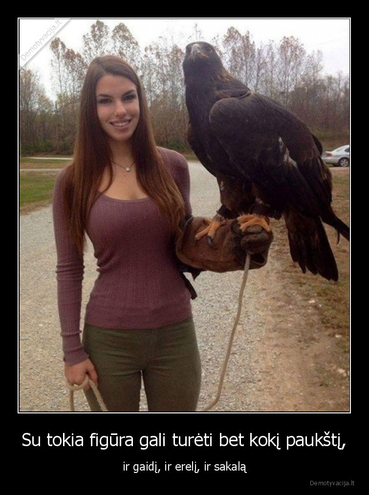 figura,mergina,paukstis,wow