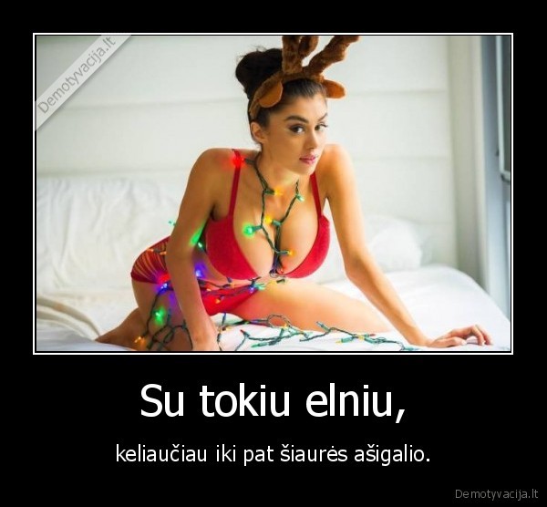 karsta, mergina,elnias,siaures, asigalis