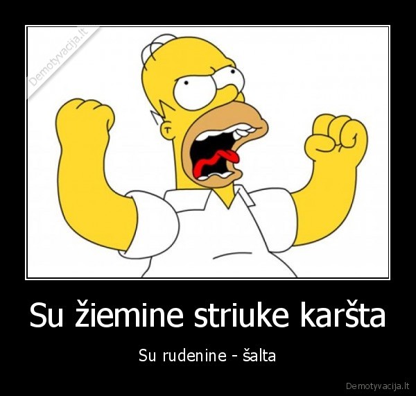 houmeris, simpsonas,rudenine, striuke,ziemine, striuke