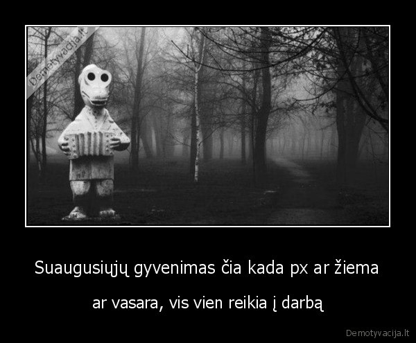 Suaugusiųjų gyvenimas čia kada px ar žiema