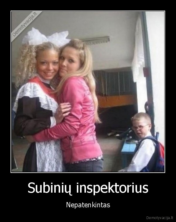 Subinių inspektorius