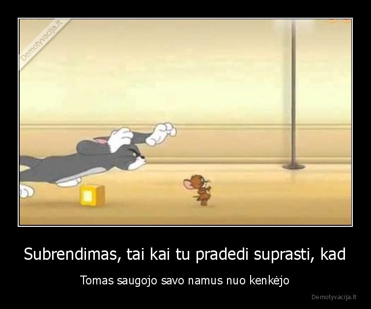 subrendimas,tomas,ir,dzeris