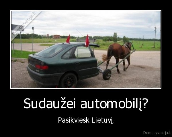 auto,gyvunai