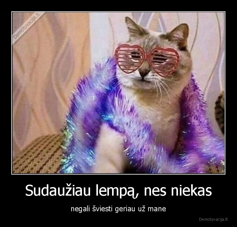 lempa,katinas,sudauzyti