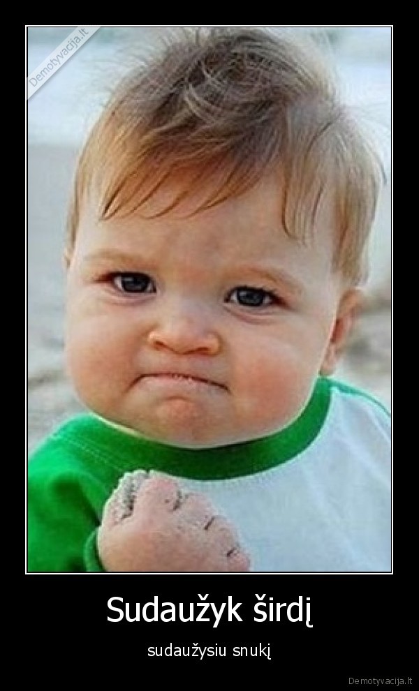 sirdis, snukis, sudauzyk