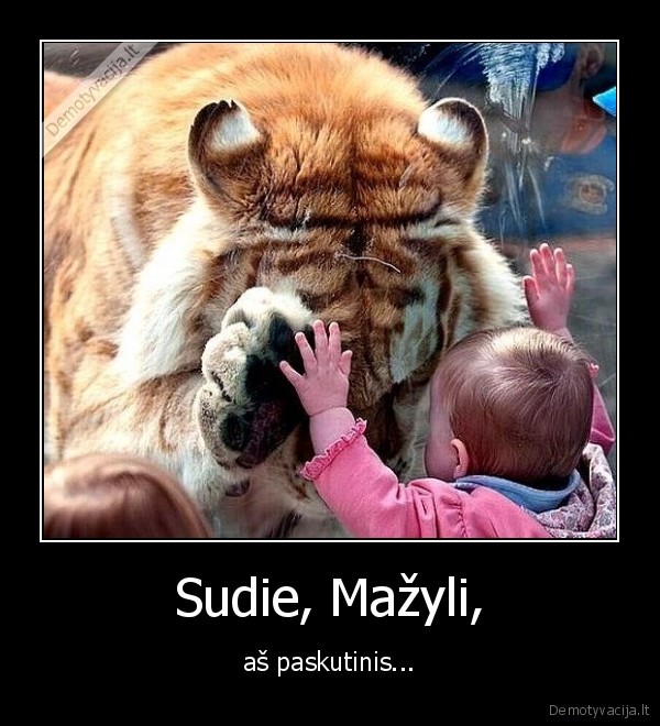 Sudie, Mažyli,