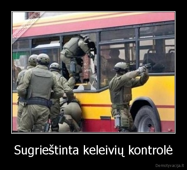 autobusas, gauja, prikolas