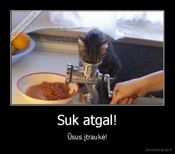 mesmale,juokingas, katinas