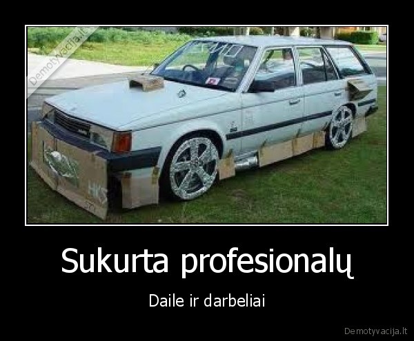 Sukurta profesionalų