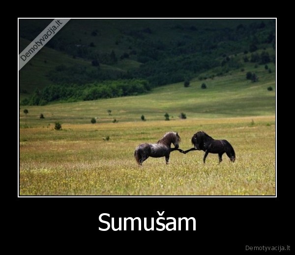 Sumušam