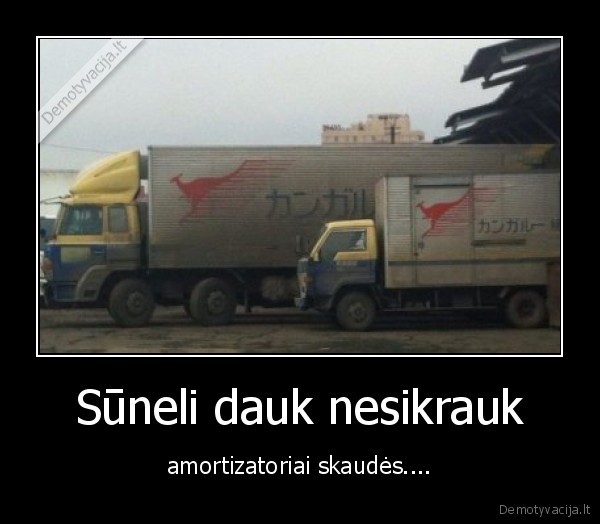 masinos,amortizatoriai