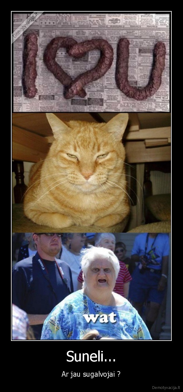 kubilius, valgo, morka, niftemu, show