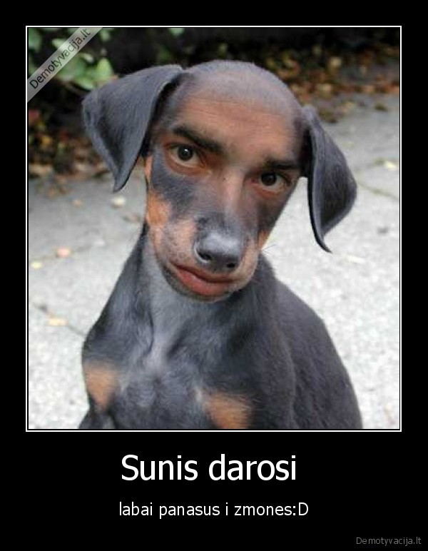 Sunis darosi 