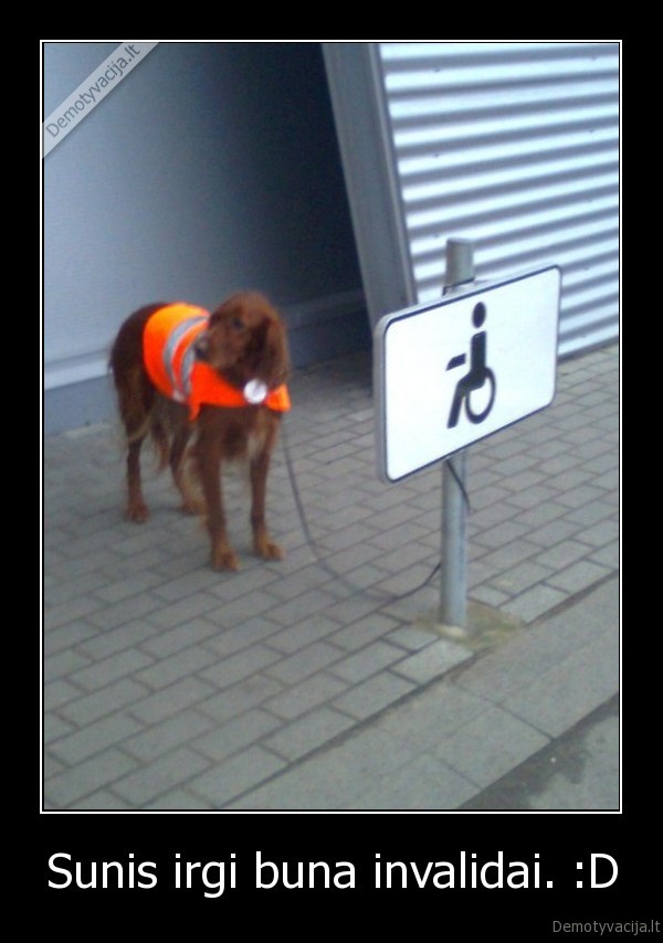 Sunis irgi buna invalidai. :D