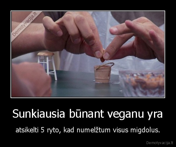 veganai,migdolai,pienas,rytas,sunkiausia