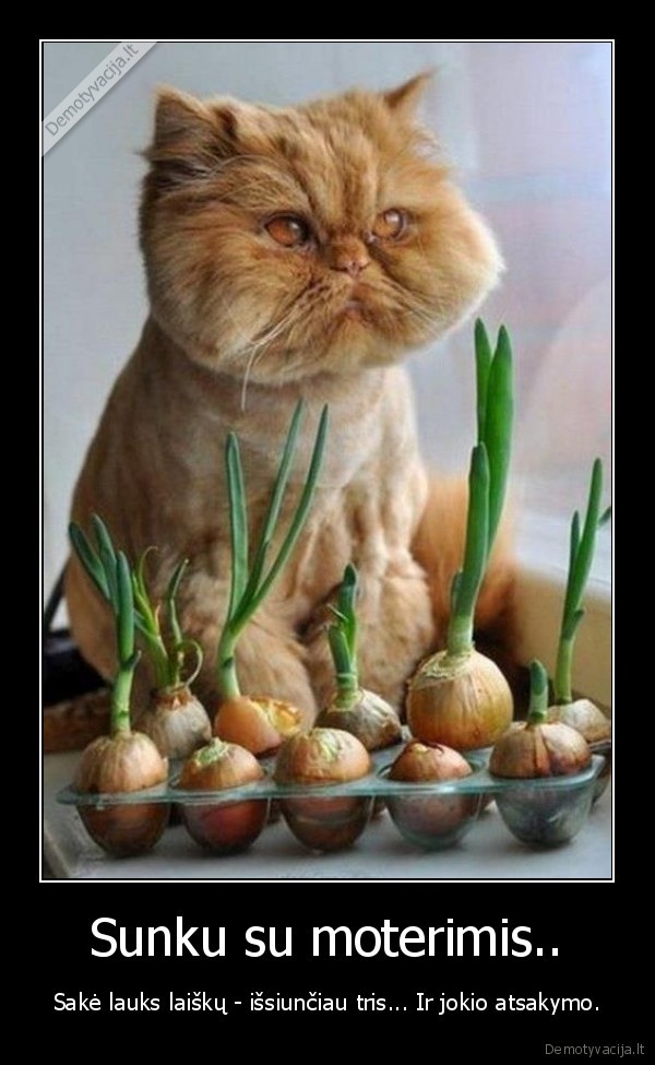 Sunku su moterimis..