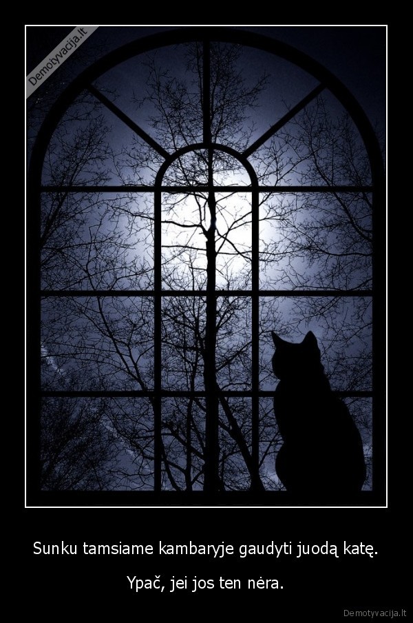 Sunku tamsiame kambaryje gaudyti juodą katę.