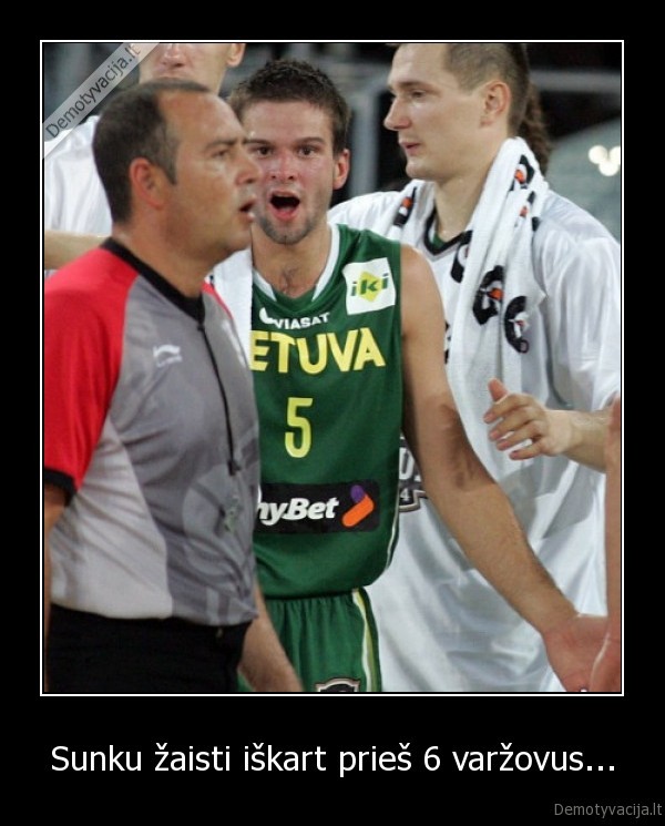 jav,lietuva,teisejas, gaidys,teisejai, gaidziai