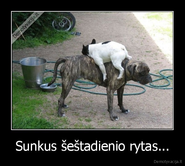 Sunkus šeštadienio rytas...