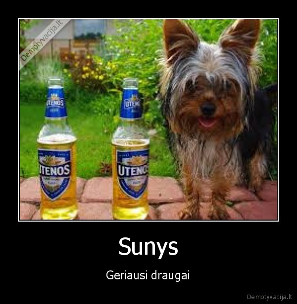 Sunys