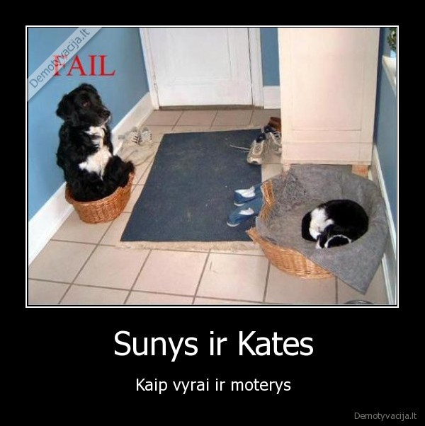 Sunys ir Kates