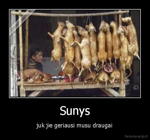 sunys,maistas,draugai